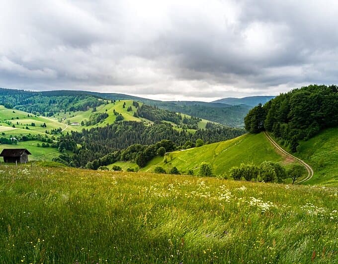 Schwarzwaldlandschaft